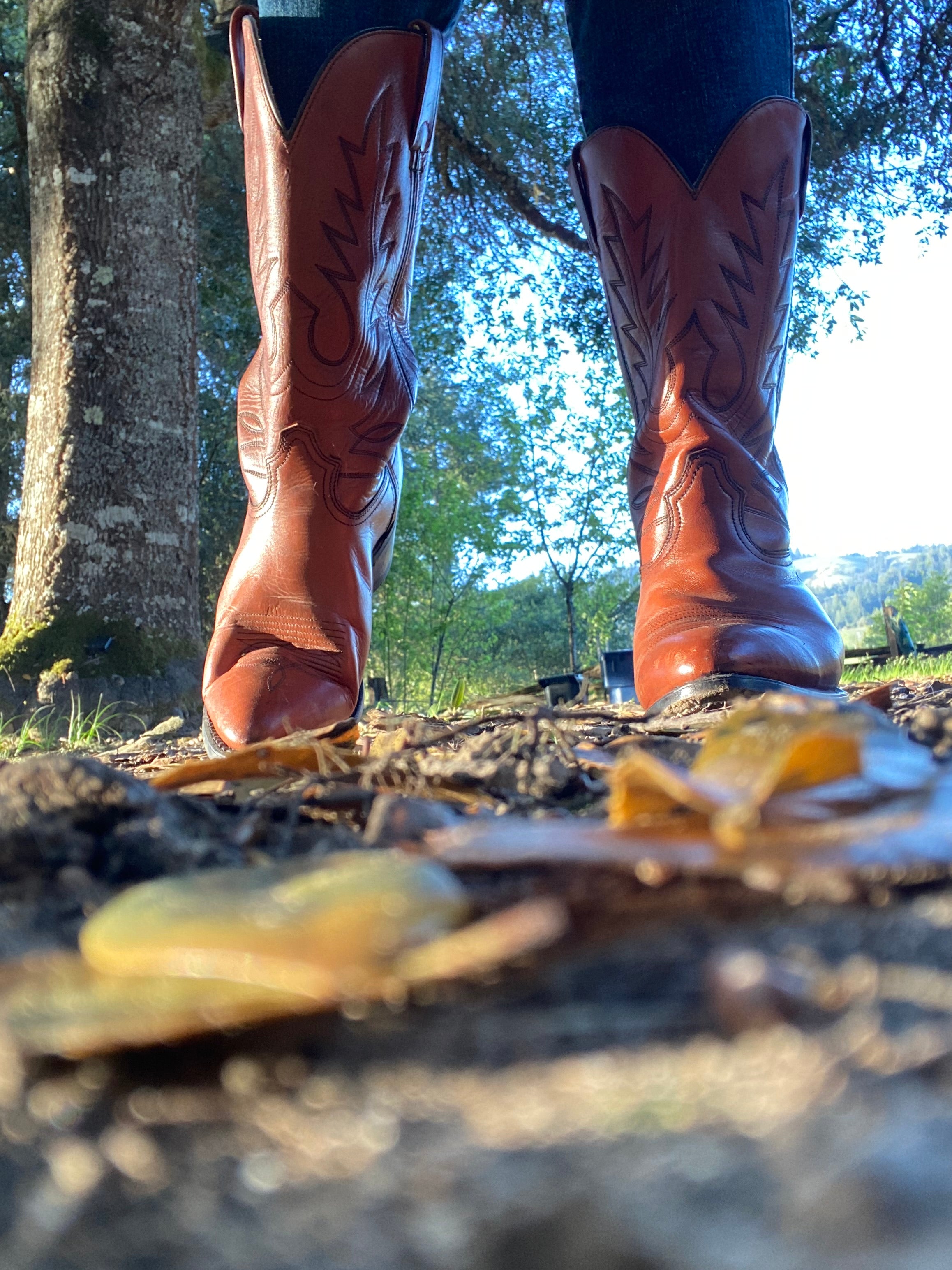 Fabulous Vintage Cowboy Boots  Refurbished Rare Color Men SZ 9.5 Women SZ 10.5