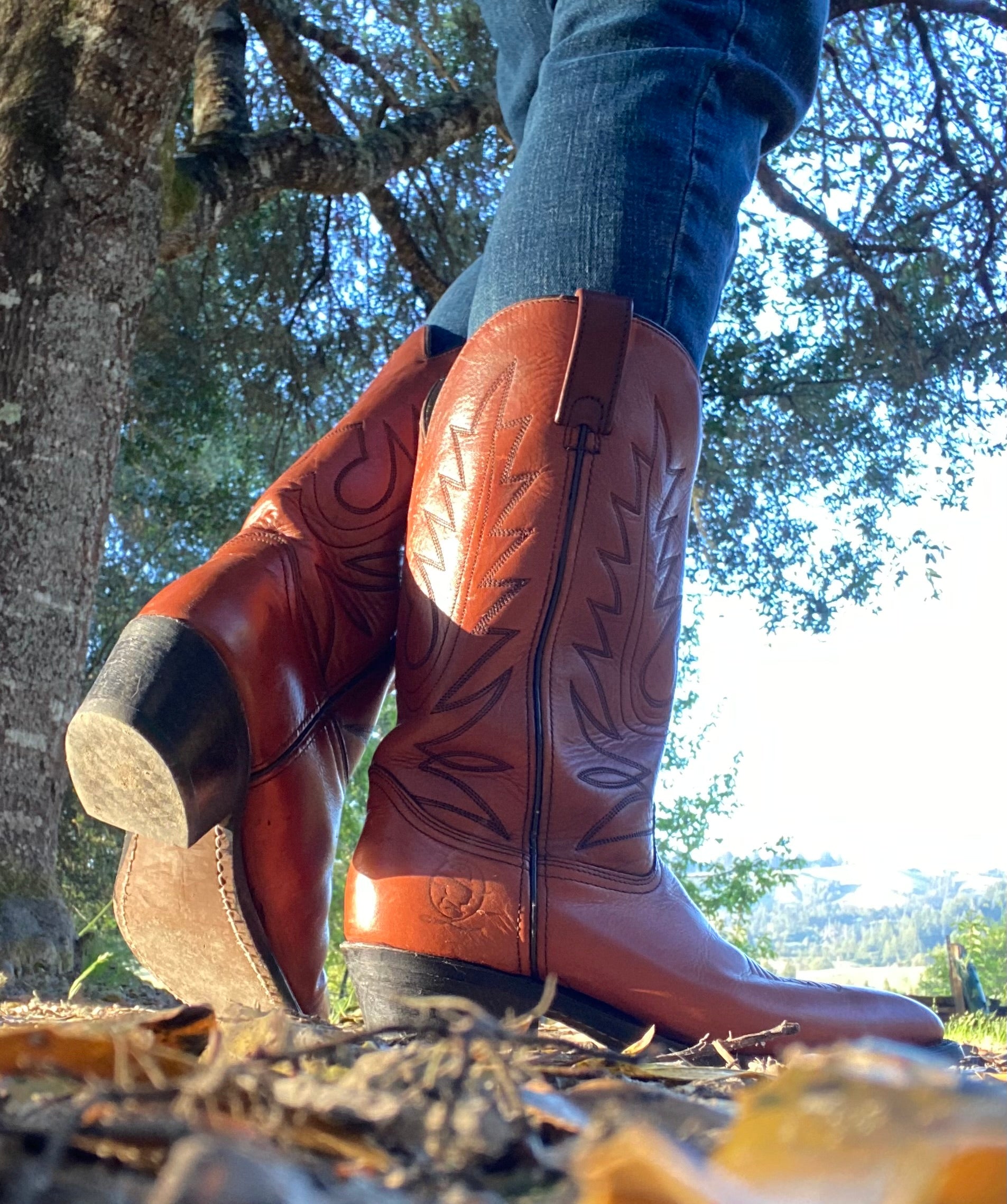 Fabulous Vintage Cowboy Boots  Refurbished Rare Color Men SZ 9.5 Women SZ 10.5