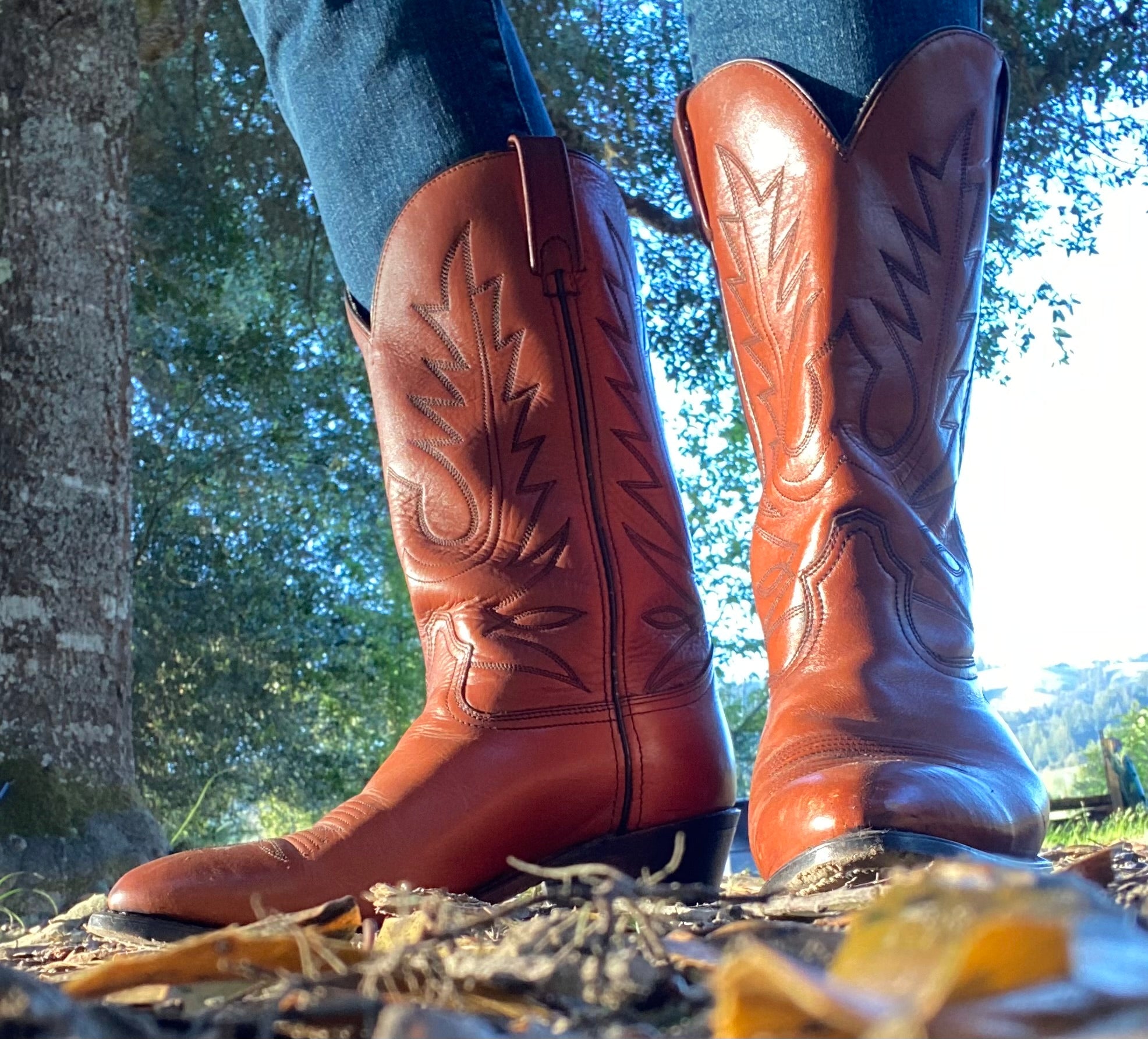 Fabulous Vintage Cowboy Boots  Refurbished Rare Color Men SZ 9.5 Women SZ 10.5